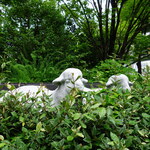 ル・シュクレクール - このビルが建て替え前からこの地を見守ってた羊さんらしい。茂みにいるのがかわゆす。