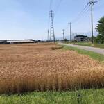 ビストロ セレニテ - 