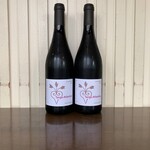 炭火焼き鳥と自然派ワインのお店　Gallo - 