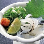 Taiten Fugu Soukai - 湯引き