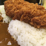 とんかつ檍のカレー屋 いっぺこっぺ 蒲田本店 - 