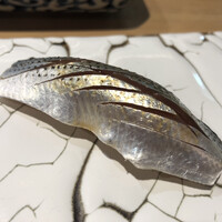 二條 葵月 - 