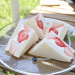 JULES VERNE COFFEE - 