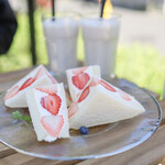 JULES VERNE COFFEE - 