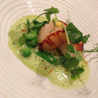 ジョンティ アッシュ - 