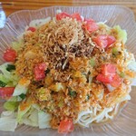 はなさき家 - 冷し坦々麺 サラダ仕立て ８辛 麺大盛り  1,040円