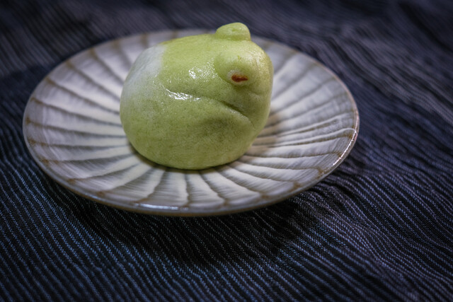 Okashi Tsukasa Okano Eisen Hon Ten