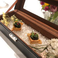 ジョンティ アッシュ - 