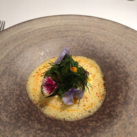 ジョンティ アッシュ - 