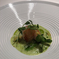 ジョンティ アッシュ - 