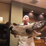 照寿司 - 23kgのクエ