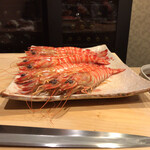 照寿司 - 車海老