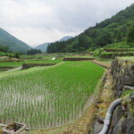 秋山郷結東温泉 かたくりの宿 - 結東の石垣田