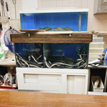 うなぎの豊川 - 鰻がニョロニョロ〜♪