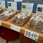 Wakushoppu Miyatoko Chokubaijo Satono Eki - 漢方茶