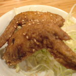 飲食笑商何屋ねこ膳 - 2009.3 世界のねこちゃん…爆！