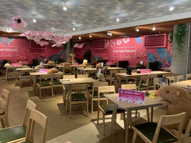 森のどうぶつレストラン ギボン亭 城ケ崎海岸 洋食 食べログ 森のどうぶつレストラン ギボン亭 城ケ崎海岸 洋食 食べログ