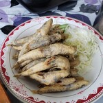 ヤマタくん - めひかりの大群