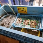 ヤマタくん - 蛤も安い