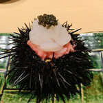 鮨 由う - 三陸産ムラサキウニ、富山産白えび、鮪中落ち