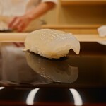 青空 - アオリイカ