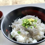 田子の浦港 漁協食堂 - 朝捕れた生しらす丼