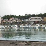 田子の浦港 漁協食堂 - NO密な開放感