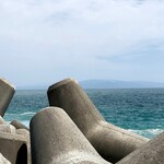 田子の浦港 漁協食堂 - テトラ越しの駿河湾ブルー