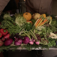 レフェルヴェソンス - 