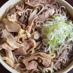 そば処 ひろ - 冷たい肉そば(750円)大盛(100円)