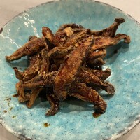 CINA New Modern Chinese - 