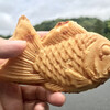 Nihonichi Taiyaki - カスタード