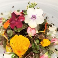 ARMONICO - 色とりどりの花々が綺麗