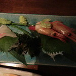マミーズタミー - 刺身