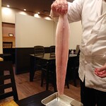 禅紫 - さっきまで生きていたハモ