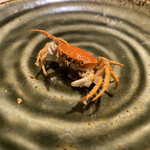 炭美酒菜 一馬力 - 