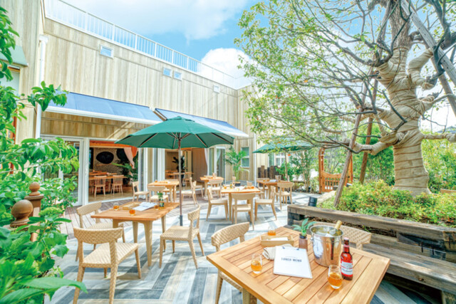 コンフェッティ Confetti 西大宮 洋食 食べログ