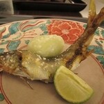 日本料理 晴山 - 