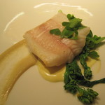 レフェルヴェソンス - 魚、ふるふるのぷりんぷりんですよ♪