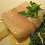 レフェルヴェソンス - 魚あっぷ