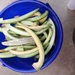 みなみ果樹園芸 - 