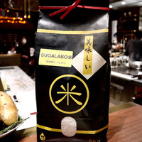 スガラボヴィー - 