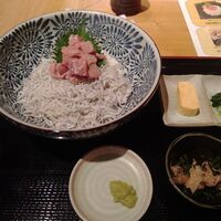 魚の中俣 銀座 - 本鮪とたっぷりしらす丼