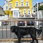 タベルナ ロンディーノ - 2009/03 