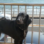 タベルナ ロンディーノ - 2009/03 テラスにて愛犬と…