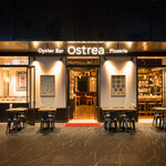 Ostrea - 