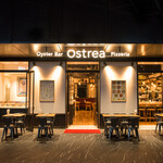 Ostrea - 