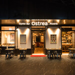 Ostrea - 