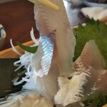 鮎茶屋 巴 - コリコリと口当たりの良い刺身です！