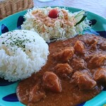 セリナ - チキンカレー